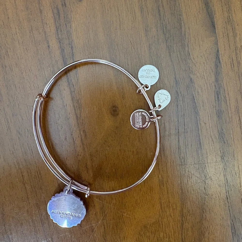 Alex and Ani Be the Light Bangle - Picture 3 of 3